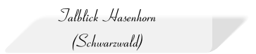 Talblick Hasenhorn (Schwarzwald)